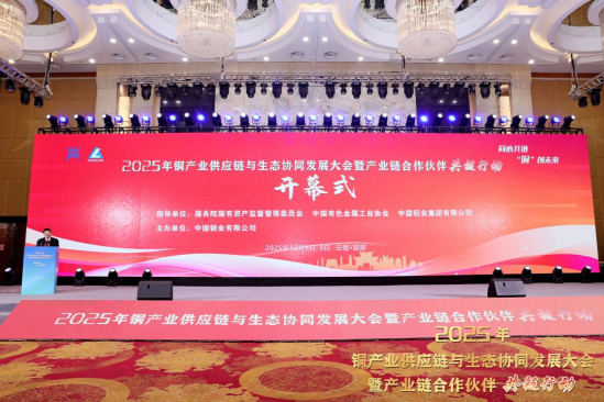 江西中力资源控股集团与中国铜业有限公司签署战略合作协议