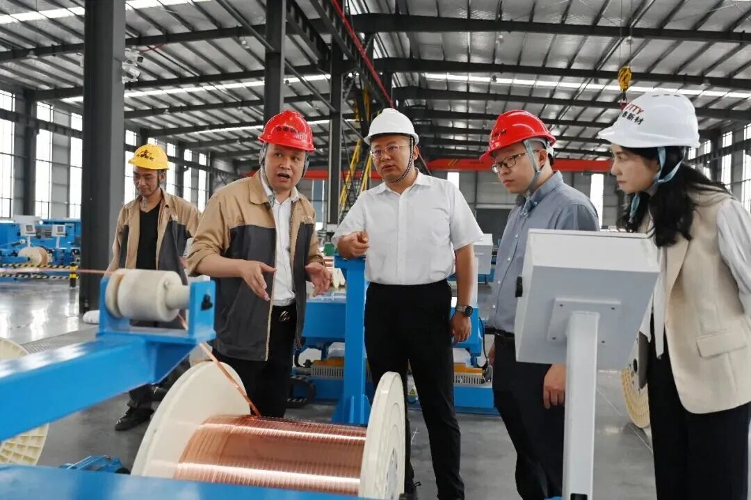 陈敏调研督导工业企业项目建设、生态环保和安全生产等工作